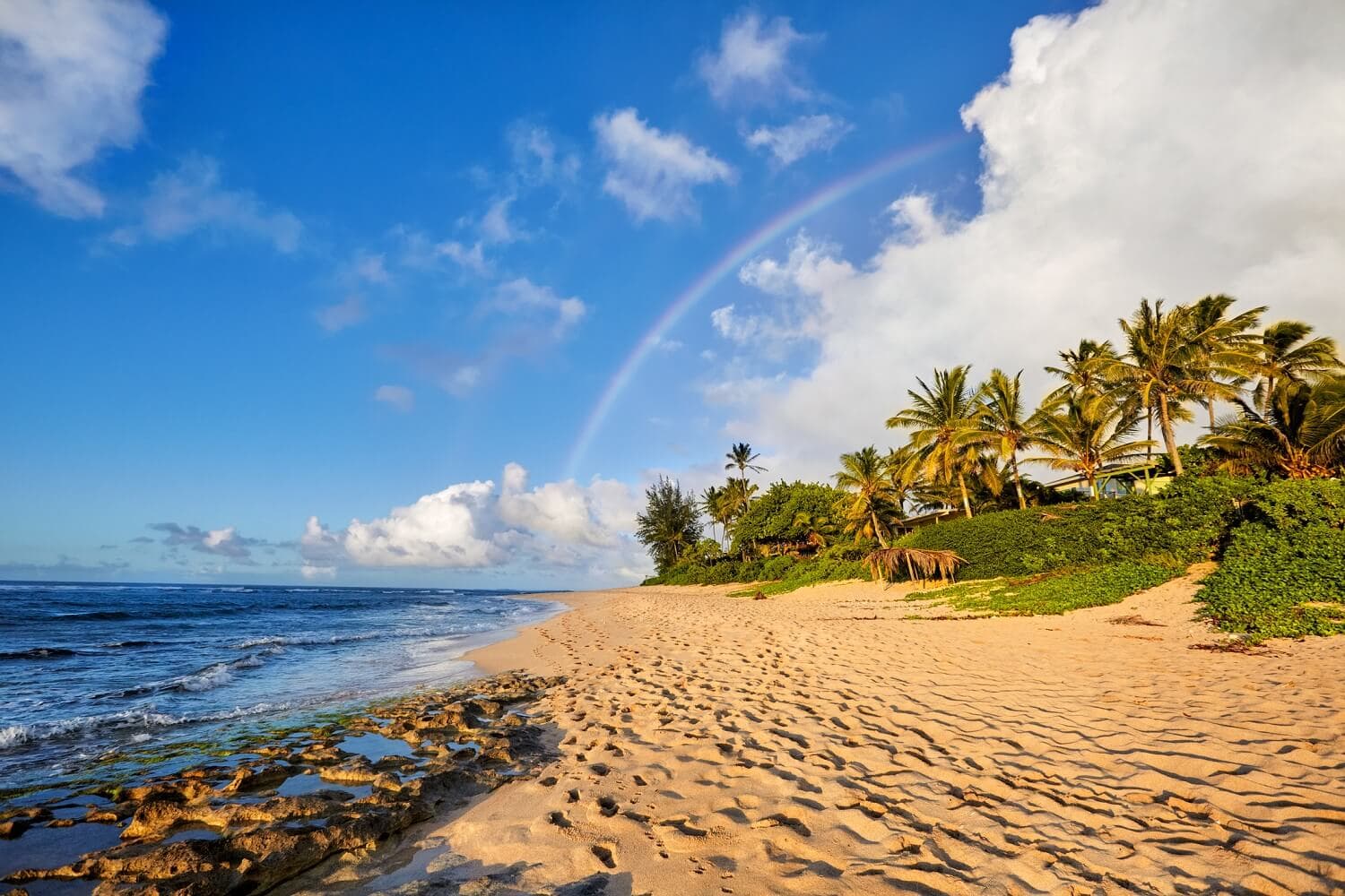 North Shore Beaches